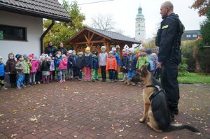 policyjny pies i przedszkolaki